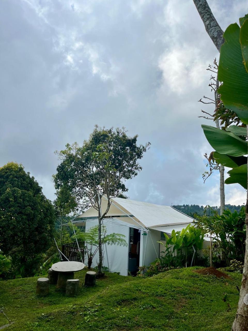 Hotel Harsa Eco Luxury Camp à Gobleg  Extérieur photo
